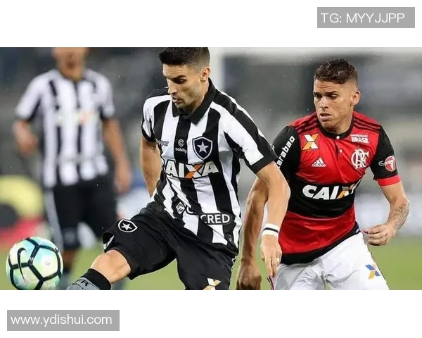 累西腓与塞阿拉的激烈对决揭示巴西足球的魅力与竞争之心