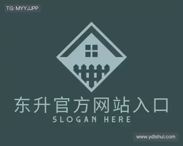 解读东升国际官网